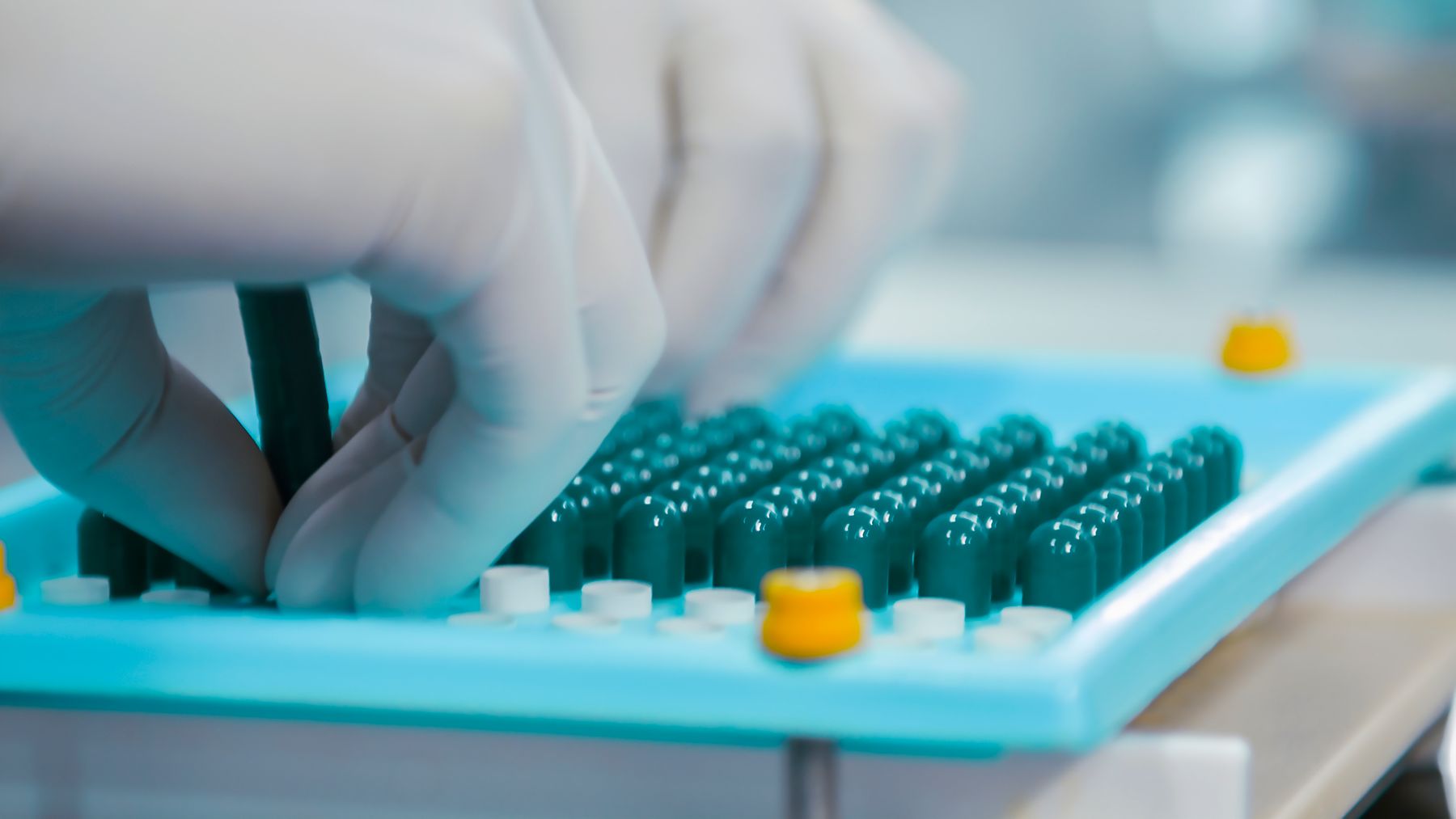 Capsule handling operation in a controlled pharmaceutical environment.